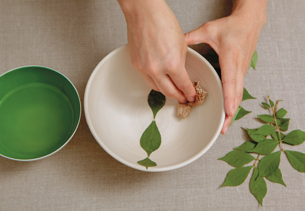 2 Press the leaves into the surface. If the they won’t stick use a damp sponge.