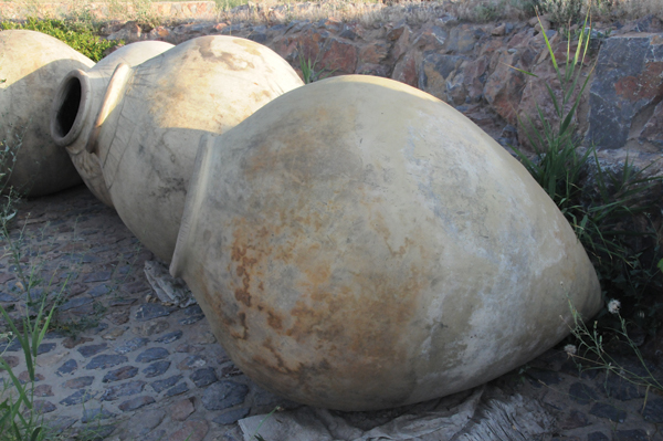 Side view of qvevri storage vessels showing the egg shape and pointed bottom. Photos: Brent Trela.