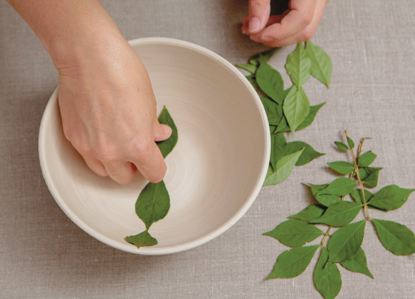 1 Arrange the leaves in any pattern you would like onto a leather-hard surface.