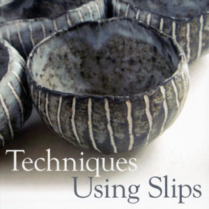 Techniques Using Slips review by Sumi von Dassow