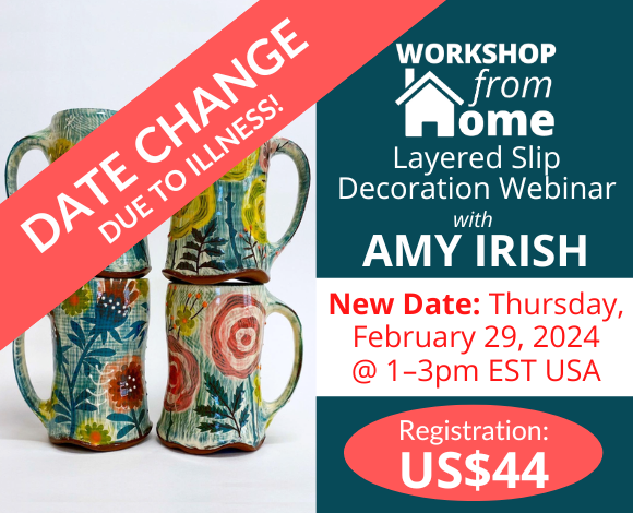 Image announcing New Date for Amy Irish Webinar